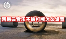 网易云音乐不被打断怎么设置