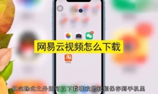 网易云音乐视频如何下载