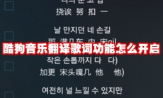 酷狗音乐翻译歌词功能怎么开启