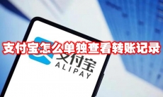 支付宝怎么单独查看转账记录