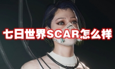 七日世界SCAR怎么样