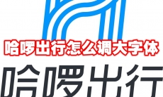 哈啰出行怎么调大字体