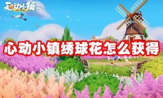 心动小镇绣球花怎么获得