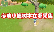 心动小镇树木在哪采集