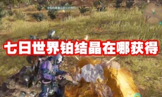 七日世界铂结晶在哪获得