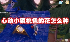 心动小镇桃色的花怎么种