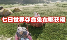 七日世界夺命兔在哪获得