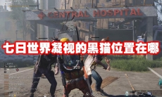 七日世界凝视的黑猫位置在哪