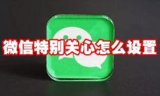 微信特别关心怎么设置