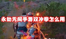永劫无间手游双冲拳怎么用