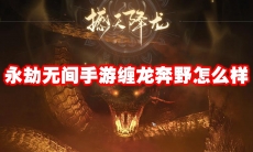 永劫无间手游缠龙奔野怎么样