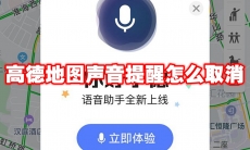 高德地图声音提醒怎么取消