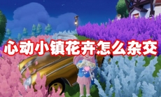 心动小镇花卉怎么杂交