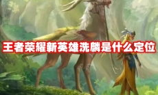 王者荣耀新英雄洗麟是什么定位