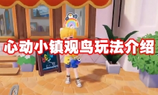 心动小镇观鸟玩法介绍