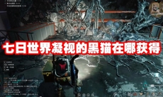 七日世界凝视的黑猫在哪获得