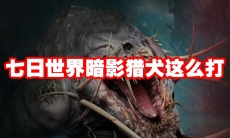 七日世界暗影猎犬这么打