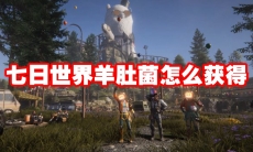 七日世界羊肚菌怎么获得