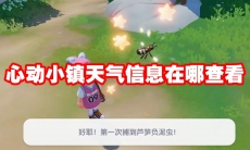 心动小镇天气信息在哪查看