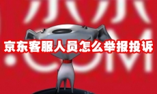 京东客服人员怎么举报投诉