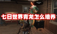 七日世界青龙怎么培养