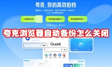 夸克浏览器自动备份怎么关闭