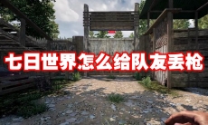 七日世界怎么给队友丢枪