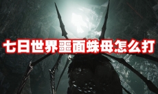 七日世界噩面蛛母怎么打