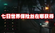 七日世界保险丝在哪获得