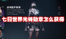 七日世界光铸勋章怎么获得
