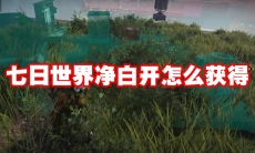 七日世界净白开怎么获得