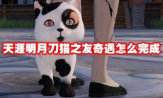 天涯明月刀猫之友奇遇怎么完成