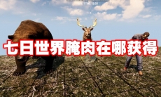 七日世界腌肉在哪获得