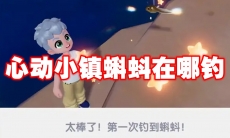 心动小镇蝌蚪在哪钓