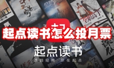 起点读书怎么投月票