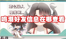 鸣潮好友信息在哪查看