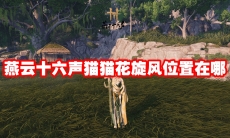 燕云十六声猫猫花旋风位置在哪