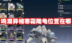 鸣潮异相寒霜陆龟位置在哪
