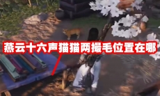 燕云十六声猫猫两撮毛位置在哪