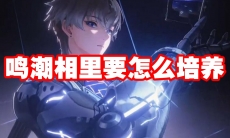 鸣潮相里要怎么培养