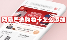 网易严选购物卡怎么添加