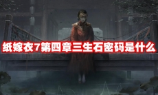 纸嫁衣7第四章三生石密码是什么