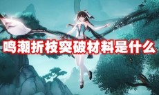 鸣潮折枝突破材料是什么