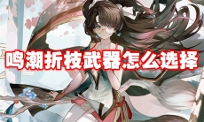 鸣潮折枝武器怎么选择