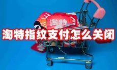 淘特指纹支付怎么关闭