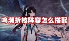 鸣潮折枝阵容怎么搭配