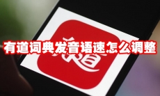有道词典发音语速怎么调整