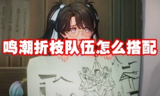 鸣潮折枝队伍怎么搭配