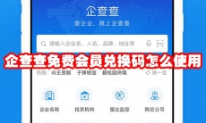 企查查免费会员兑换码怎么使用