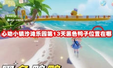 心动小镇沙滩乐园第13天黑色鸭子位置在哪